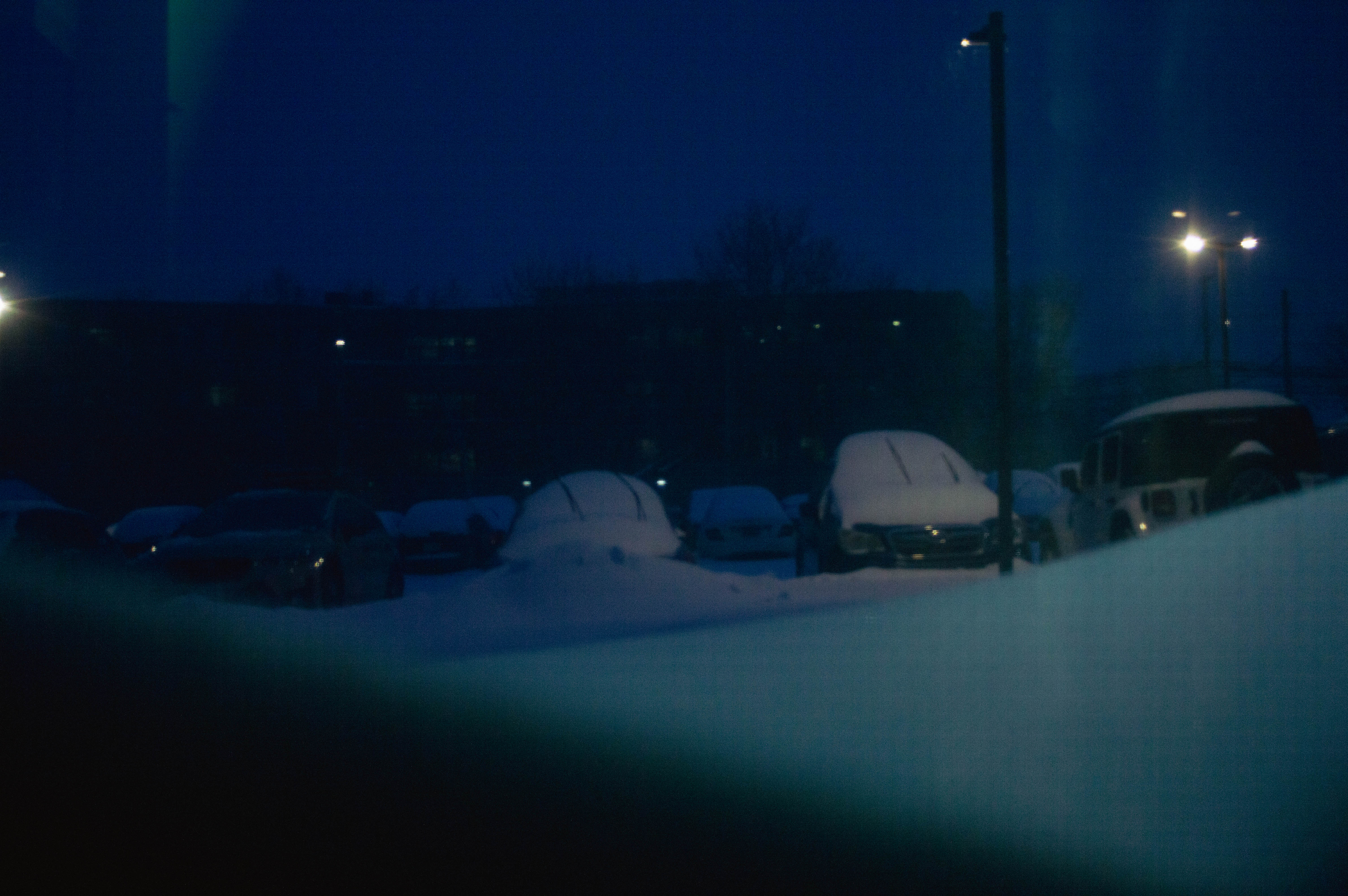 Spring 2026 — photo 41