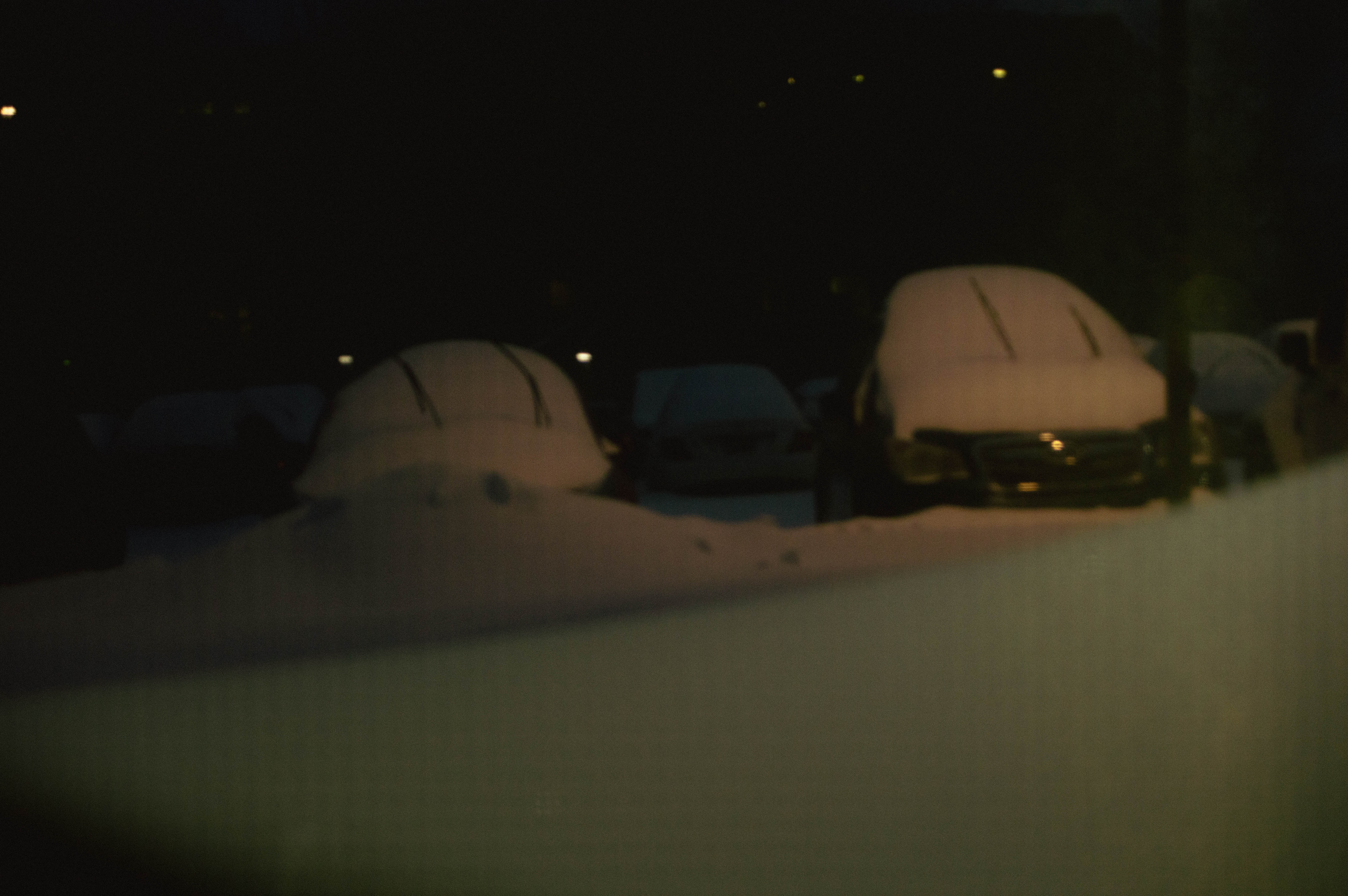 Spring 2026 — photo 42