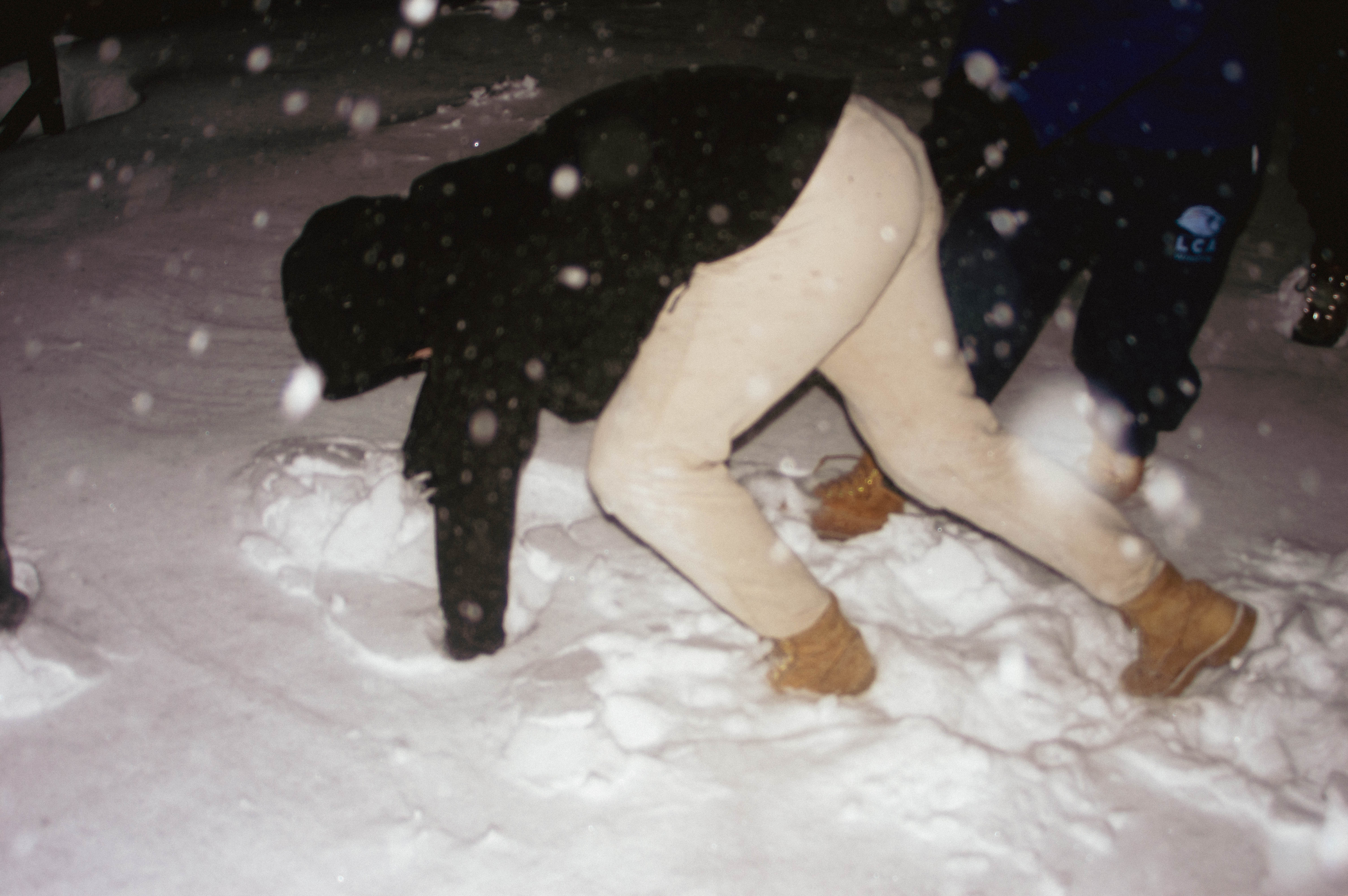 Spring 2026 — photo 46