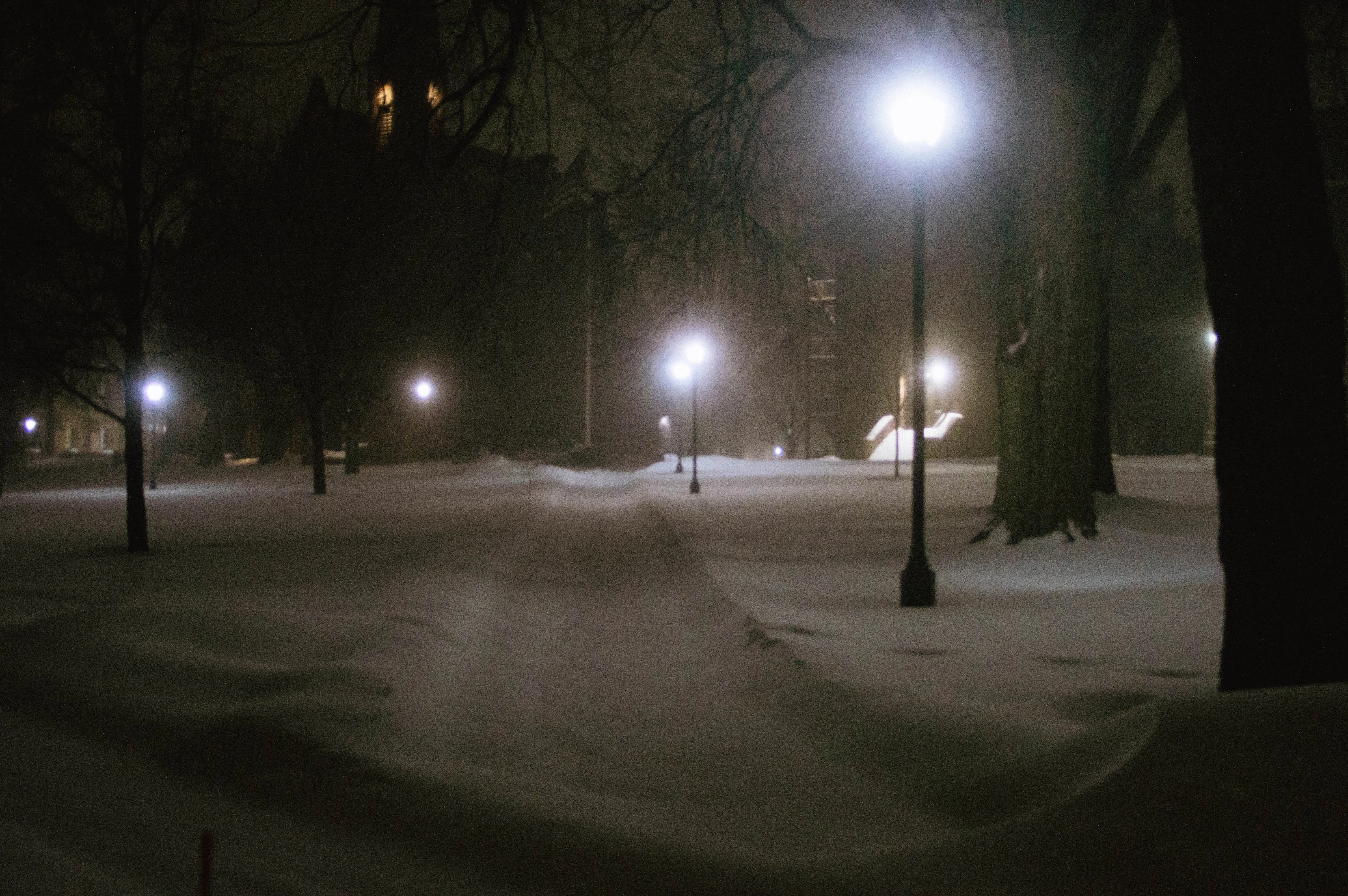 The Boys Boozing — photo 35