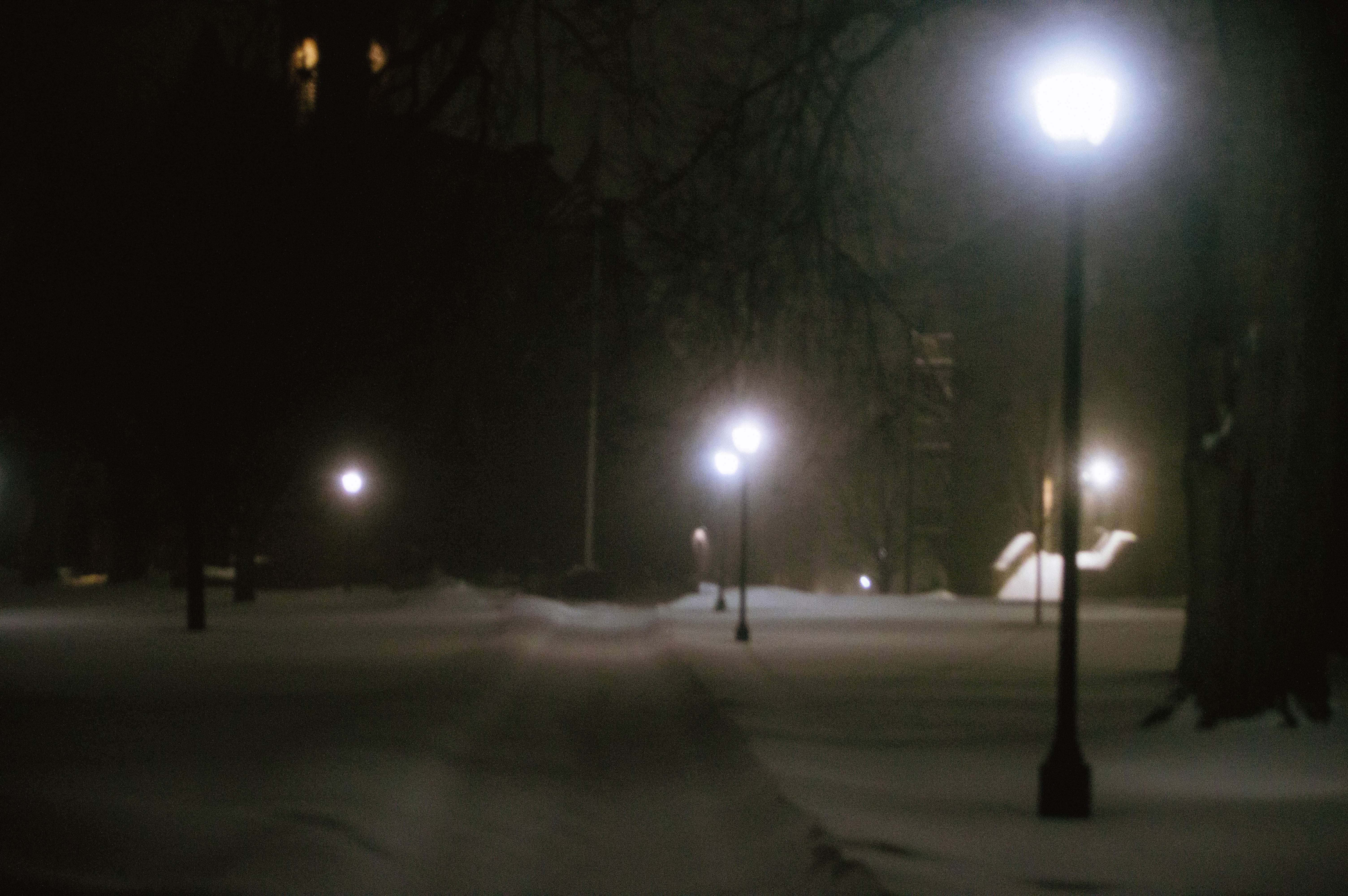 Spring 2026 — photo 77