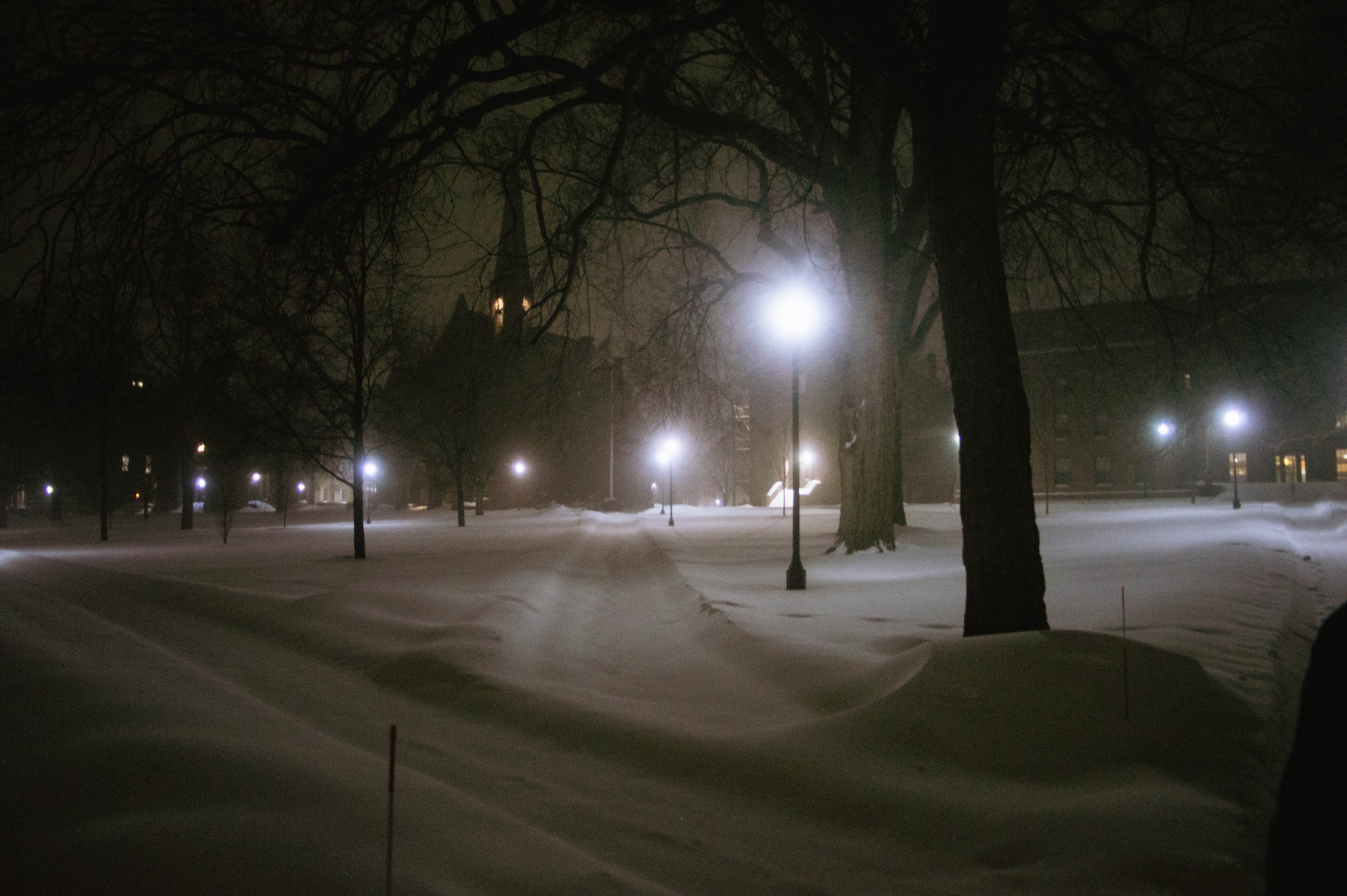 Spring 2026 — photo 78