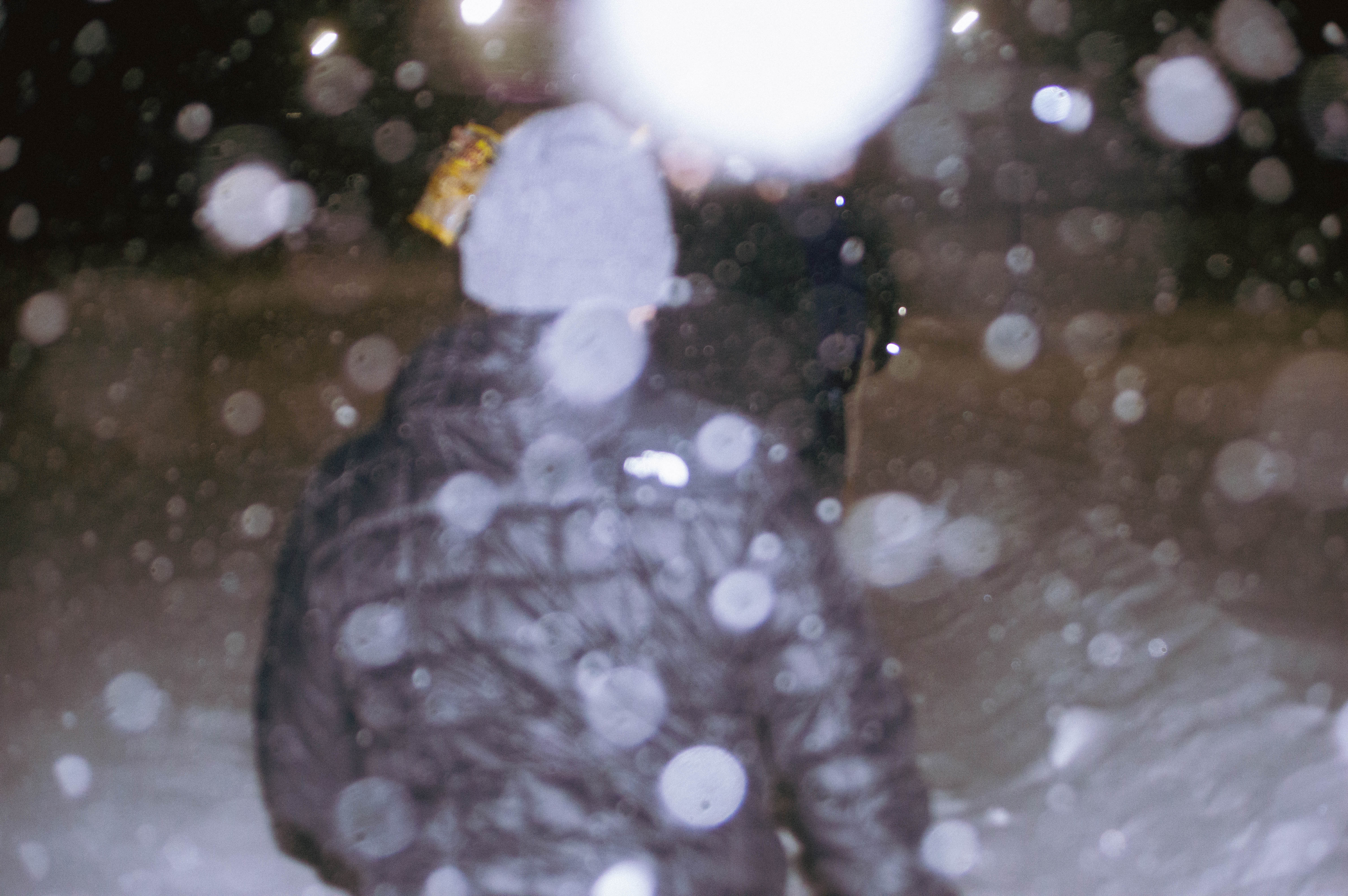 Spring 2026 — photo 80