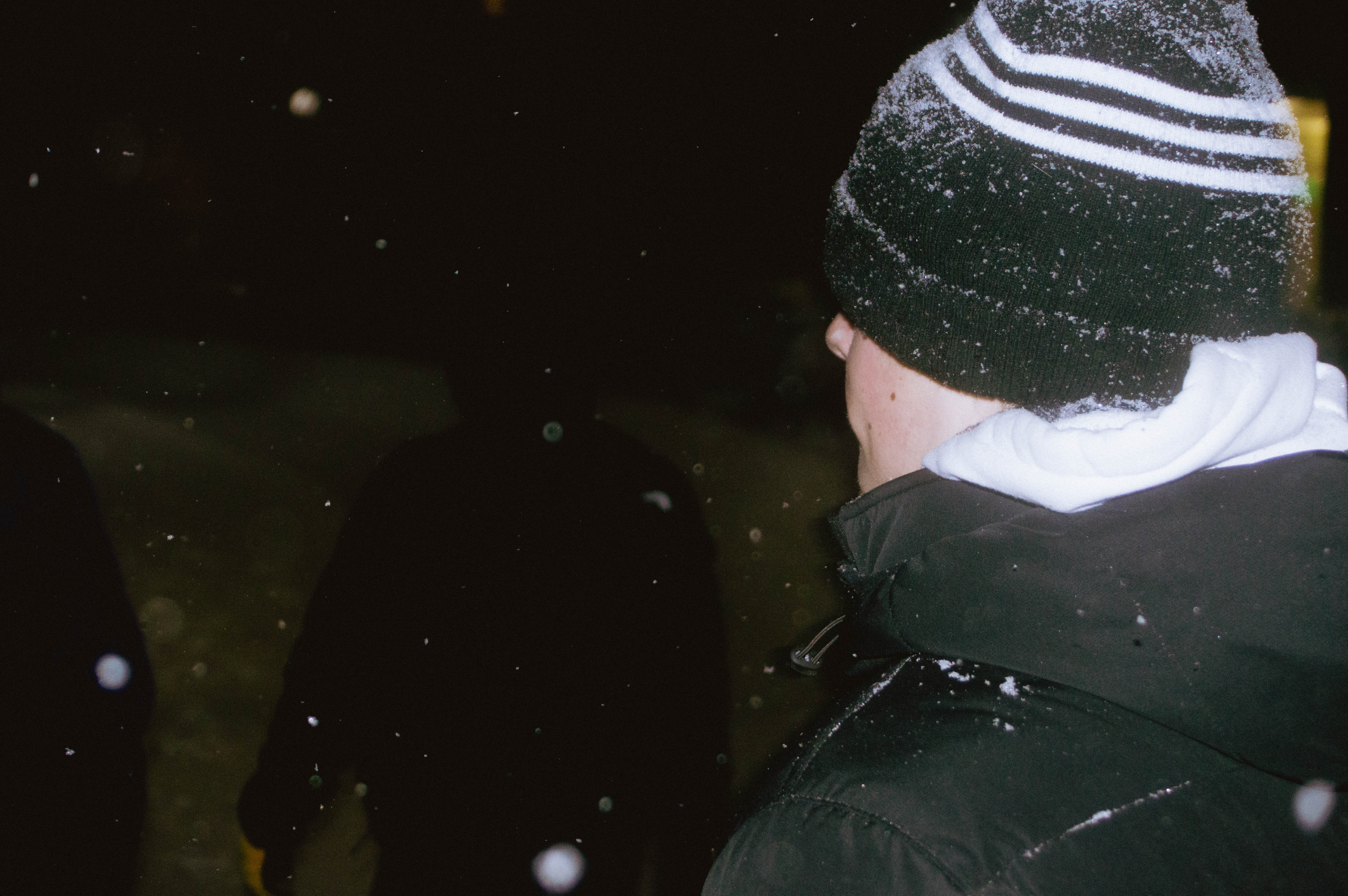 Spring 2026 — photo 84