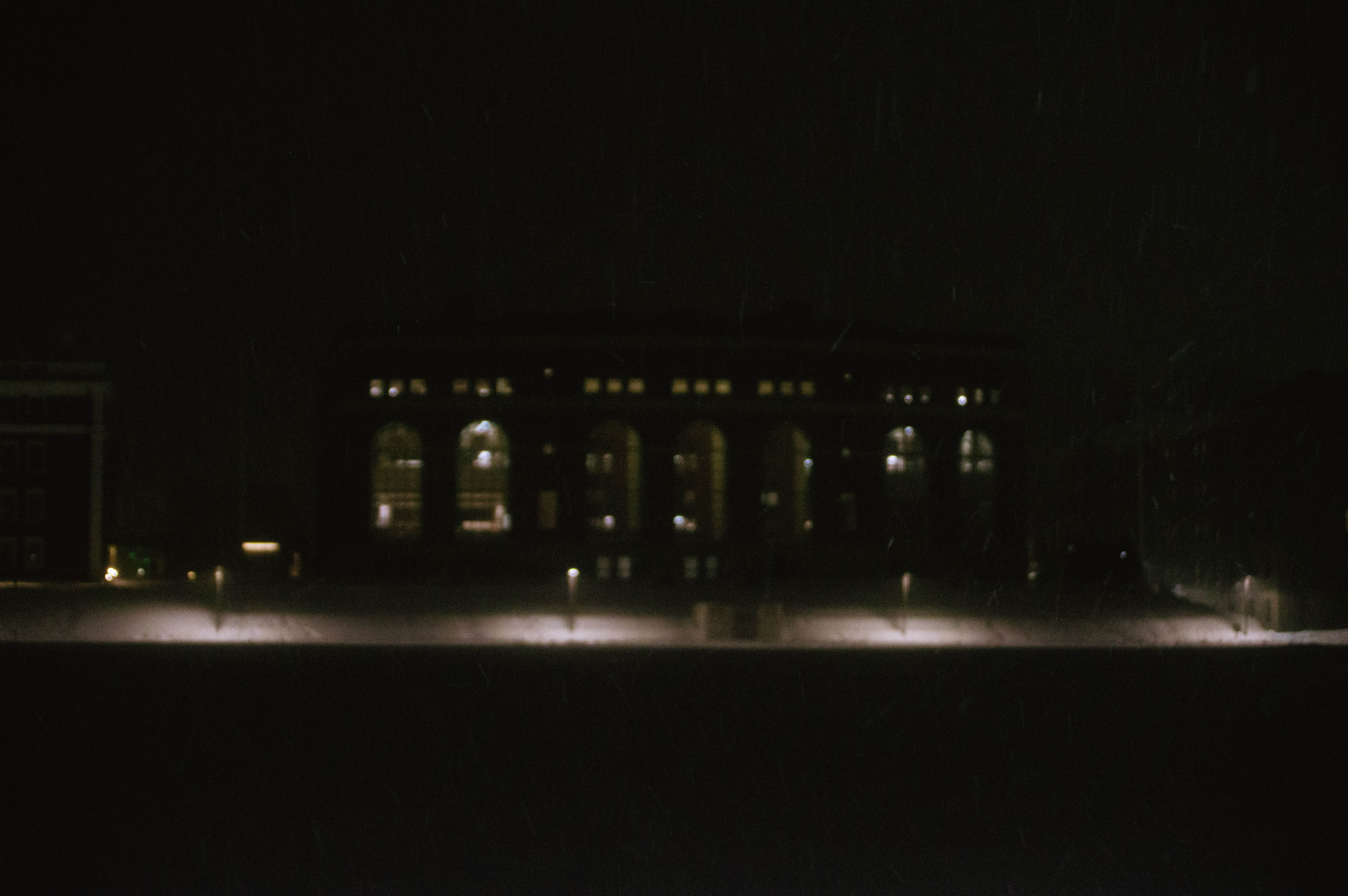 Spring 2026 — photo 88